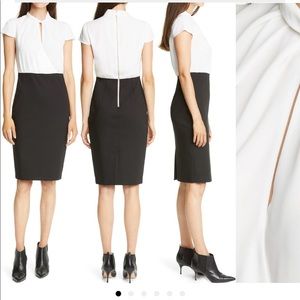 Ted Baker London Daylla Two-Tone Mock Neck Pencil Dress